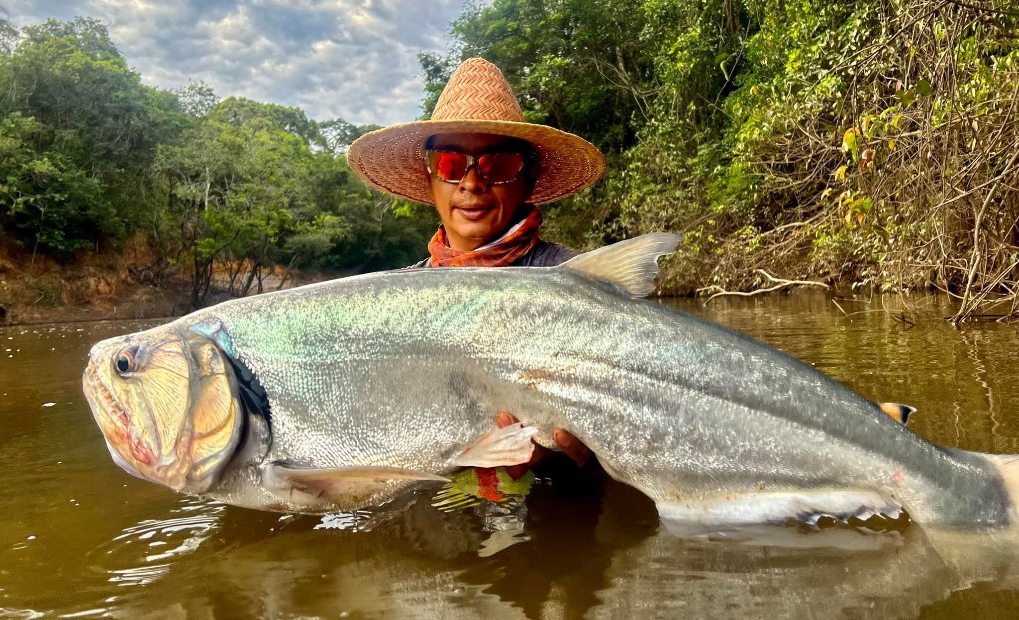 Llanero project Colombia
